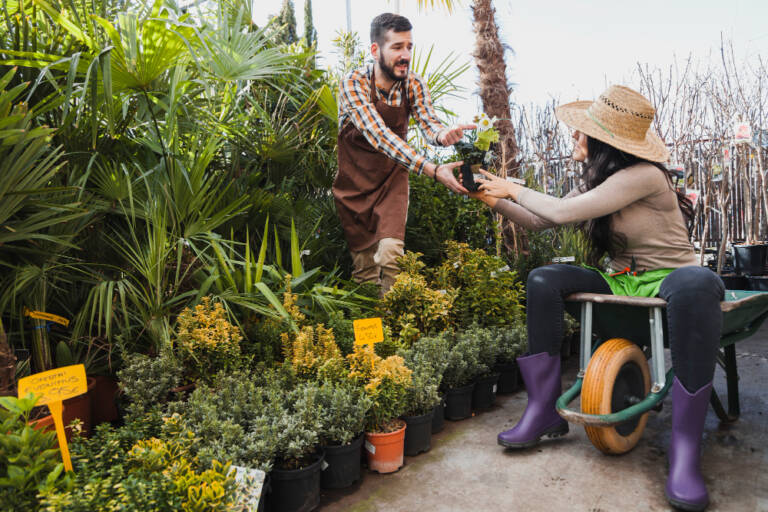 DIY Energy Projects at Home: Powering Small Space Garden Sustainably