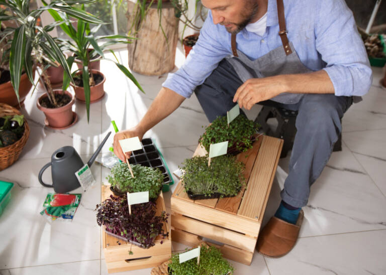 Advanced DIY Energy Projects for Small Homes: Sustainable Solutions for Small Space Gardens