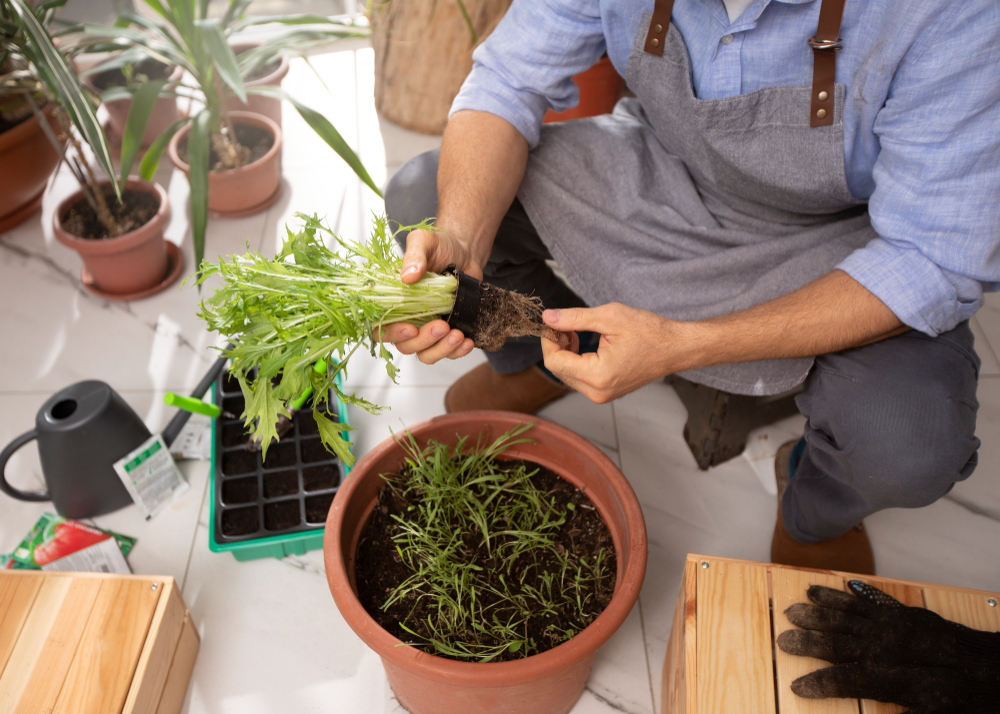 Man planting