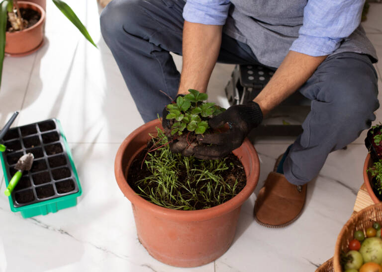 DIY Power Generation Projects for Your Home: Generating Power for Your Small Space Garden in an Environmentally Friendly Way