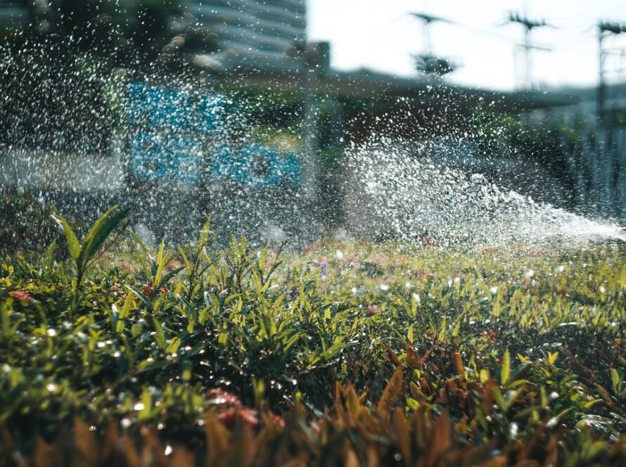 Solar Irrigation for Your Small Garden